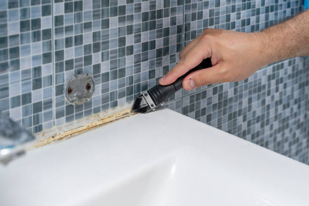Best Residential Mold Removal  in Pleasant Valley, WV