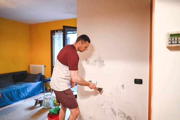 Professional Mold Removal in Pleasant Valley, WV